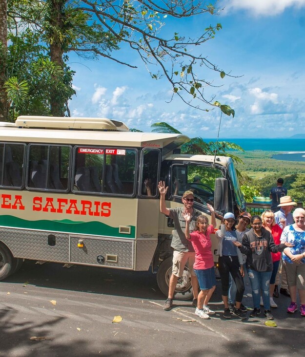 billy tea group daintree rainforest lookout